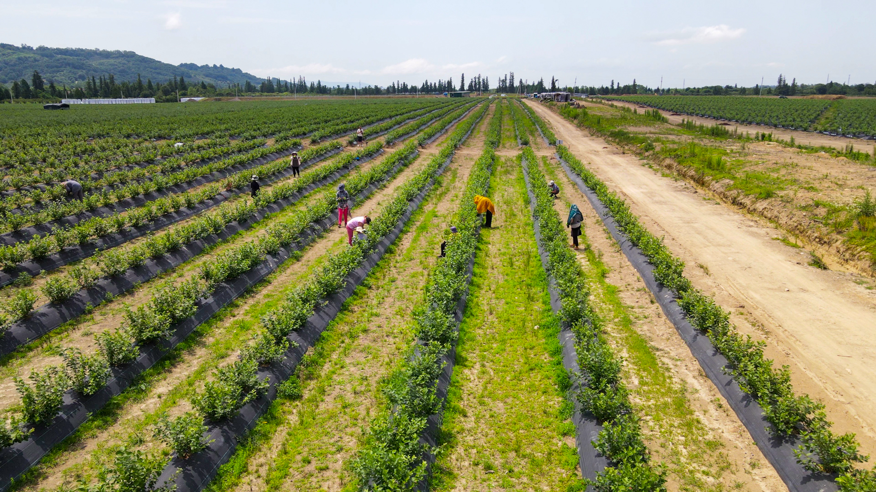 vlcsnap-2023-09-06-15h34m20s831