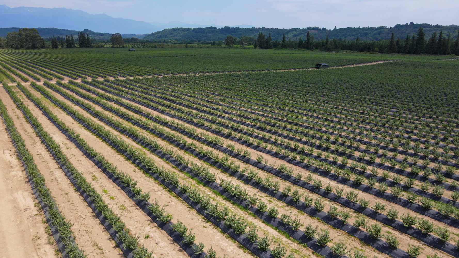 vlcsnap-2023-09-06-15h35m41s543