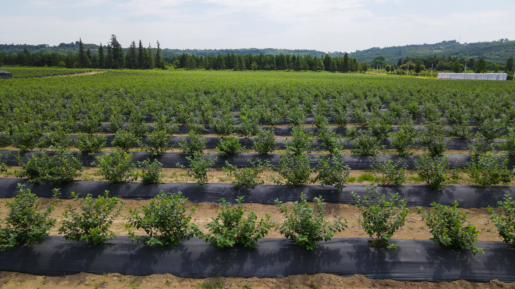 vlcsnap-2023-09-06-15h35m58s552